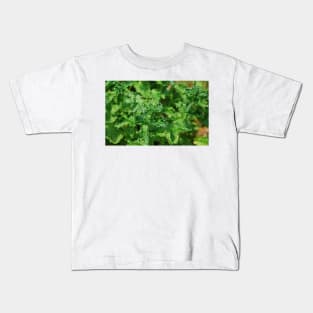 Curly Mint Kids T-Shirt